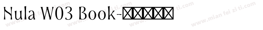 Nula W03 Book字体转换